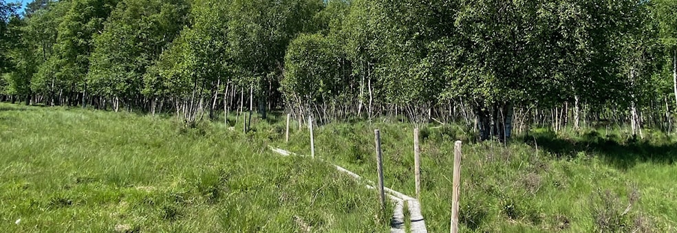 Gavekort Ti på Topp 2023
